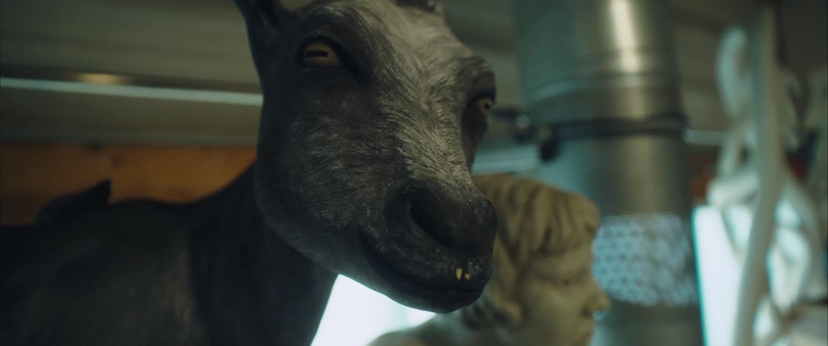 Jasmin Strohmeyer